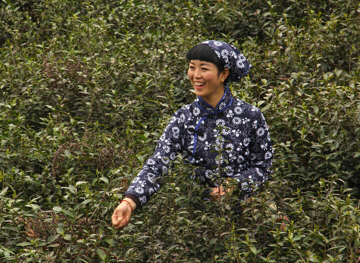 最新更新5